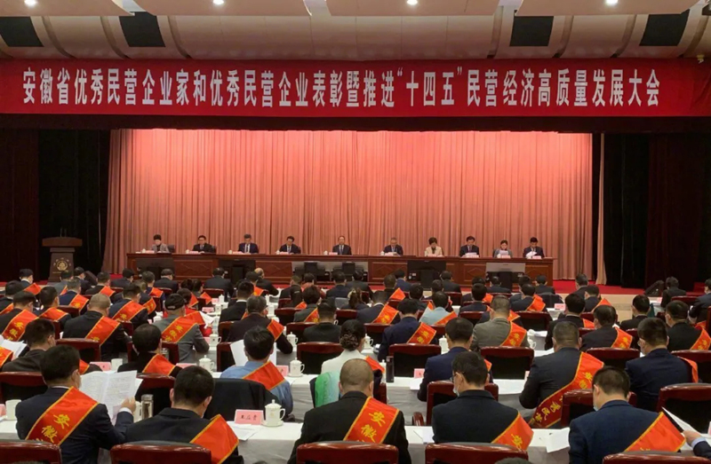 喜訊！元琛科技總經理梁燕被授予“安徽省優秀民營企業家”稱號